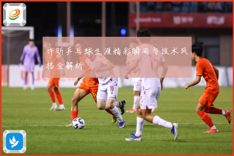 许昕乒乓球生涯精彩瞬间与技术风格全解析