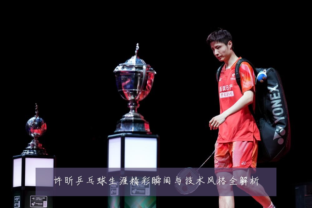 许昕乒乓球生涯精彩瞬间与技术风格全解析